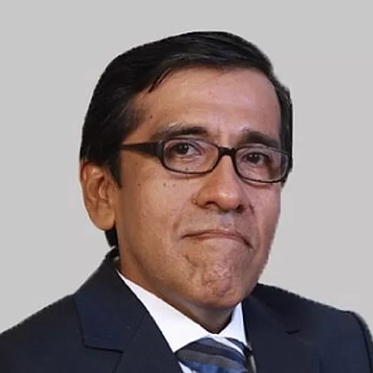 Arias Minaya, Luis Alberto